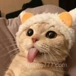 Luis Felipe Esquivel